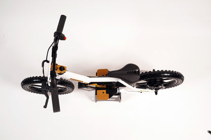Revolt 16 EDRIVE Brushless - LIMITED EDITION CUSTOM COLORS